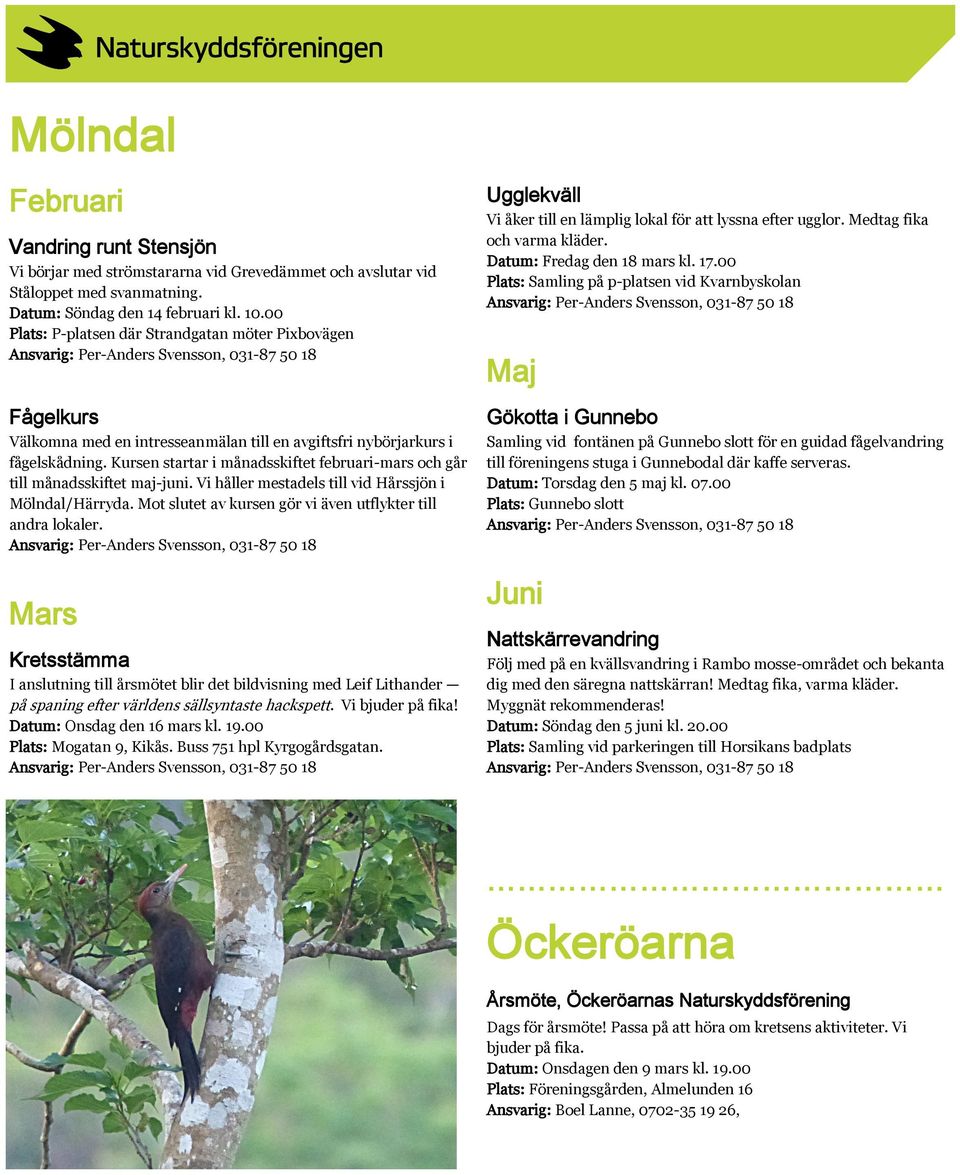 Kursen startar i månadsskiftet februari-mars och går till månadsskiftet maj-juni. Vi håller mestadels till vid Hårssjön i Mölndal/Härryda.