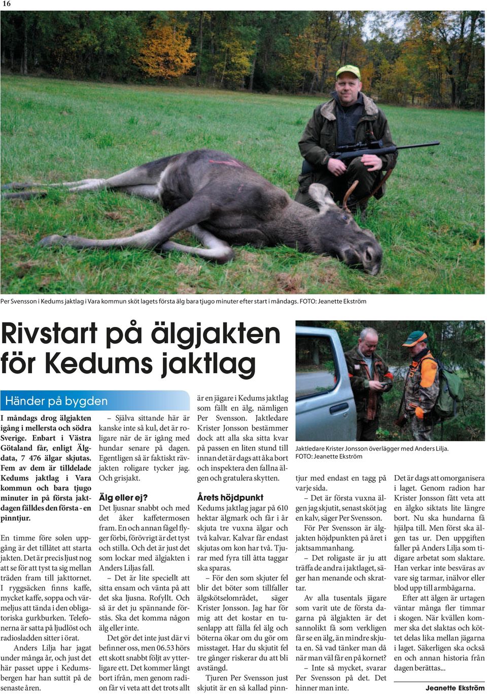 Enbart i Västra Götaland får, enligt Älgdata, 7 476 älgar skjutas. Fem av dem är tilldelade Kedums jaktlag i Vara kommun och bara tjugo minuter in på första jaktdagen fälldes den första - en pinntjur.