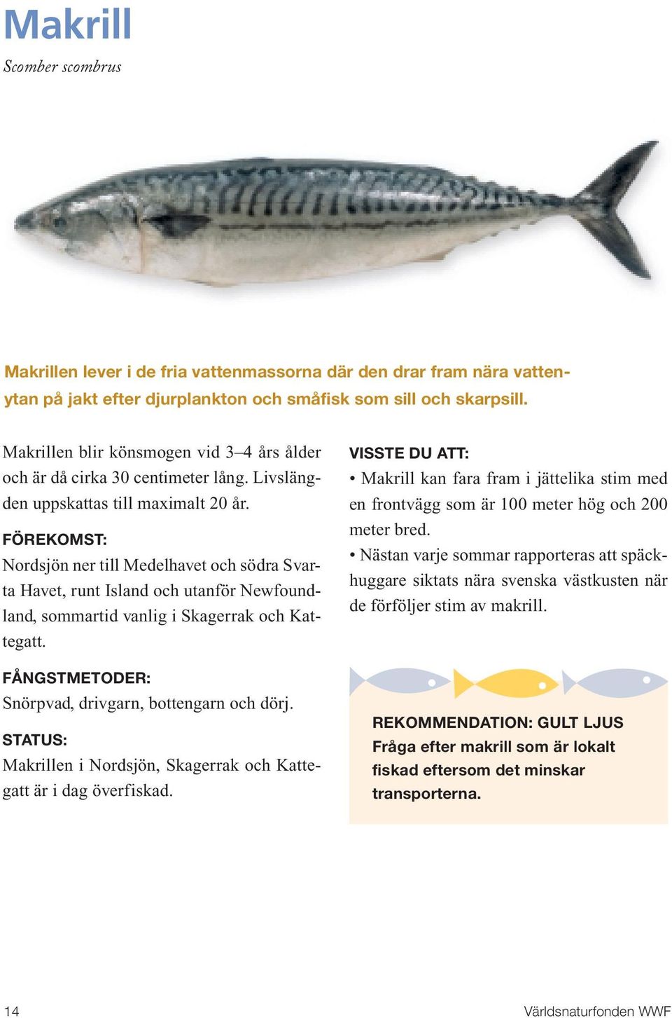 Nordsjön ner till Medelhavet och södra Svarta Havet, runt Island och utanför Newfoundland, sommartid vanlig i Skagerrak och Kattegatt. Snörpvad, drivgarn, bottengarn och dörj.