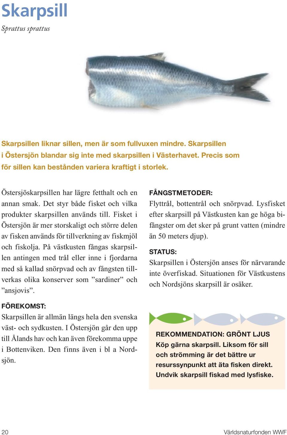 Fisket i Östersjön är mer storskaligt och större delen av fisken används för tillverkning av fiskmjöl och fiskolja.