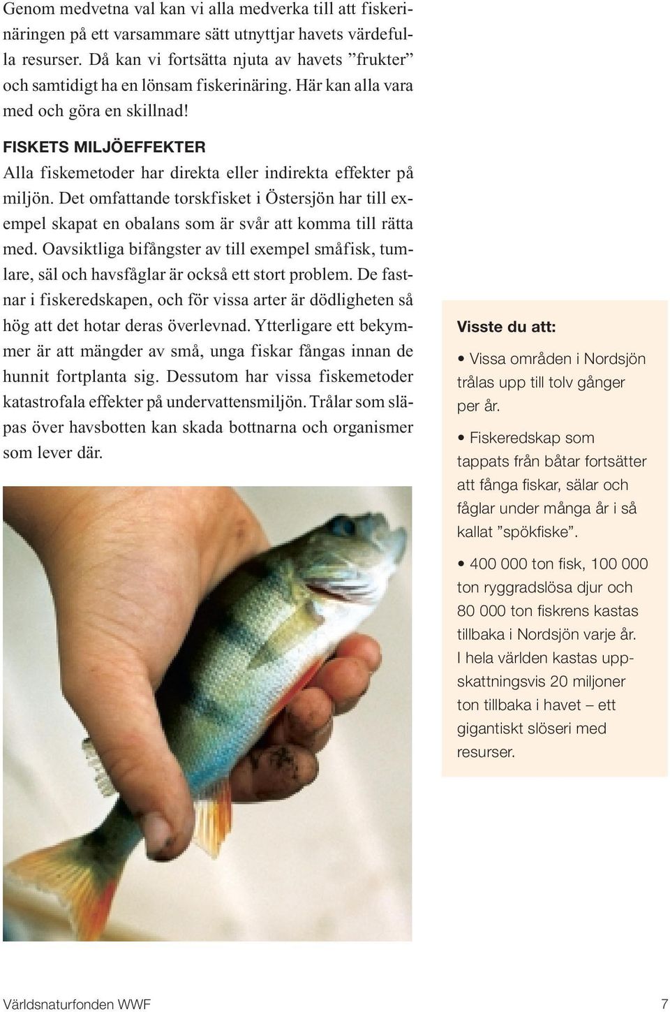 FISKETS MILJÖEFFEKTER Alla fiskemetoder har direkta eller indirekta effekter på miljön. Det omfattande torskfisket i Östersjön har till exempel skapat en obalans som är svår att komma till rätta med.