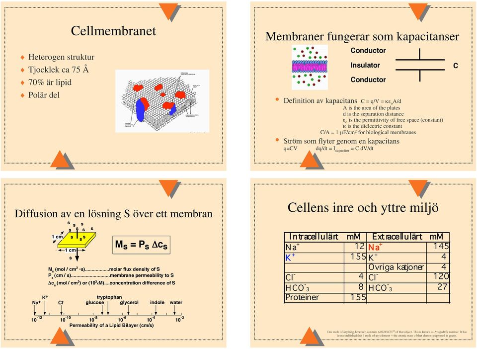 I capacitor = C d/dt C Diffusion av en lösning S över ett membran Na+ 1 cm Cl- s s s s s s s s s 1 cm s s tryptophan glucose glycerol M s = P s c s M s (mol / cm 2 s).