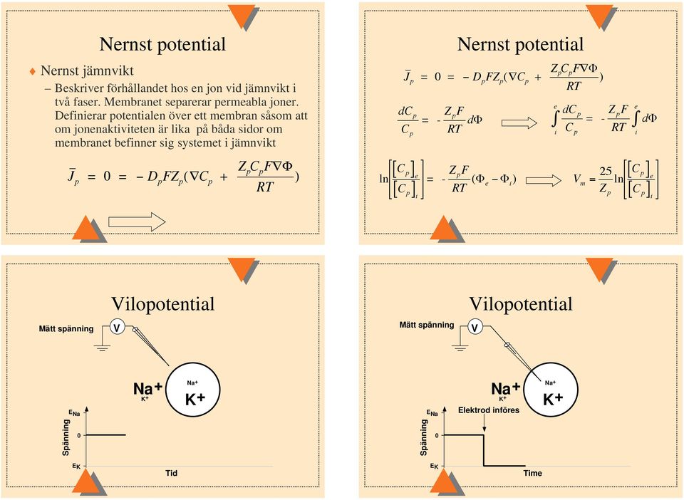 p = = D p F (C p + Z C F p p ) RT Nernst potential J p = = D p F (C p + C p F ) RT dc p C p ln C p C p = - F RT d e i dc p C p = - F RT = -Z