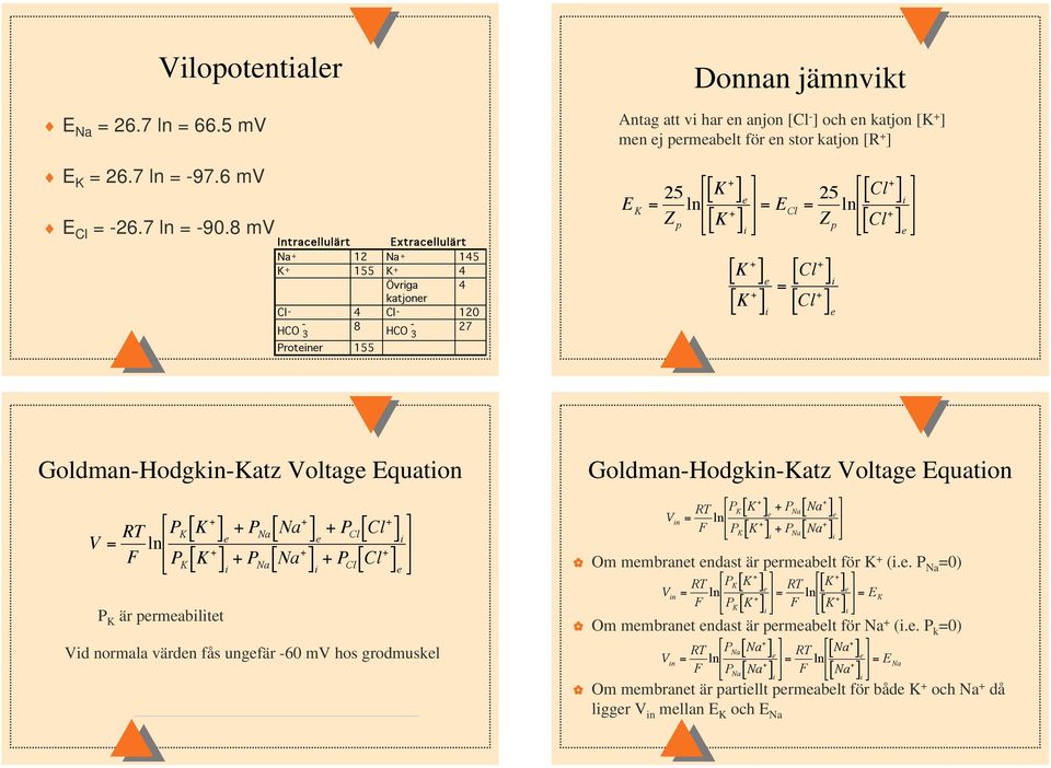8 m Intracellulärt Extracellulärt Na + 12 Na + 145 155 4 Övriga 4 katjoner Cl - 4 Cl - 12 HCO - 3 8 HCO - 3 27 Proteiner 155 Donnan jämnvikt Antag att vi har en anjon [Cl - ] och en katjon [ ] men ej