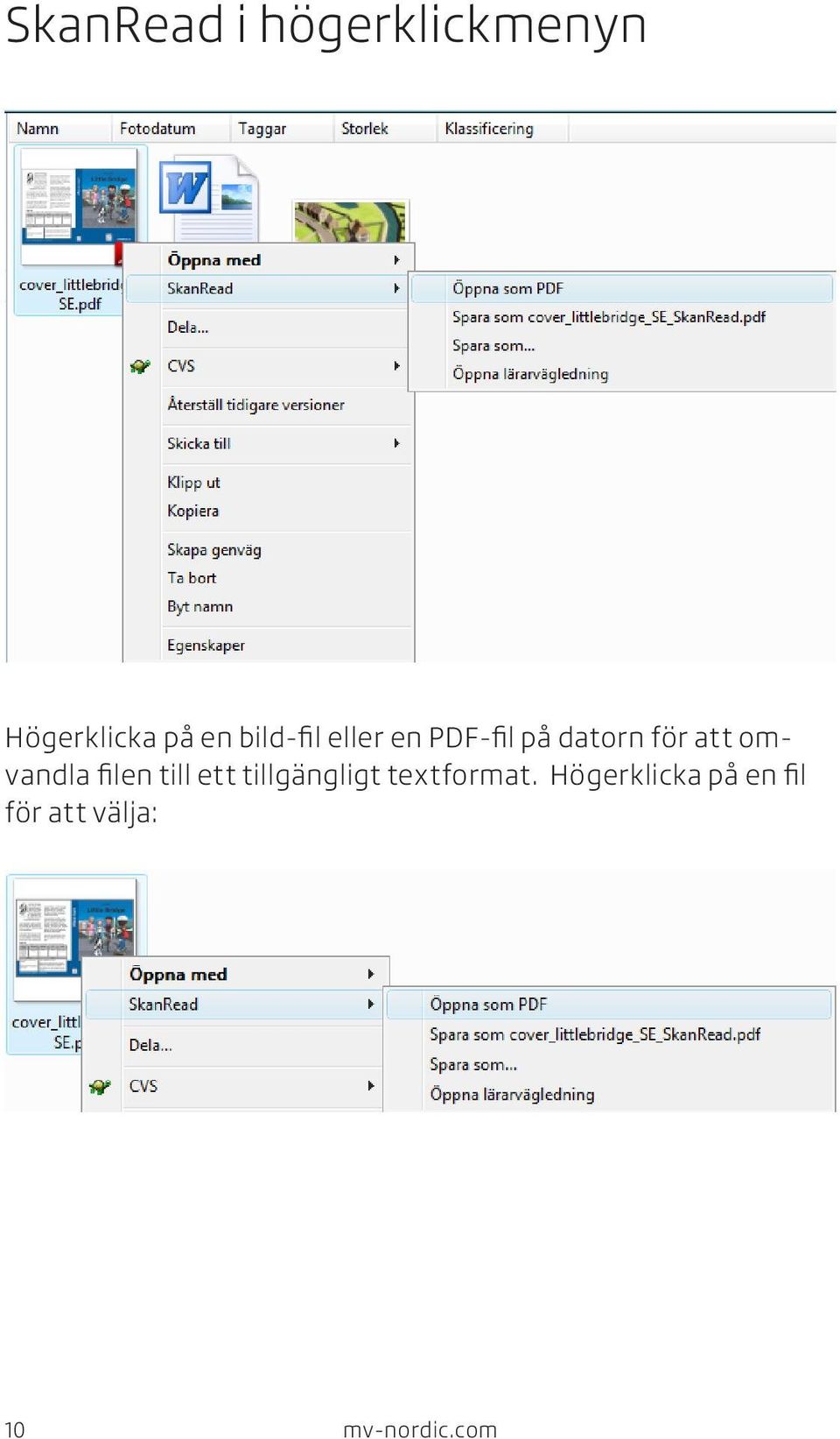 omvandla filen till ett tillgängligt textformat.