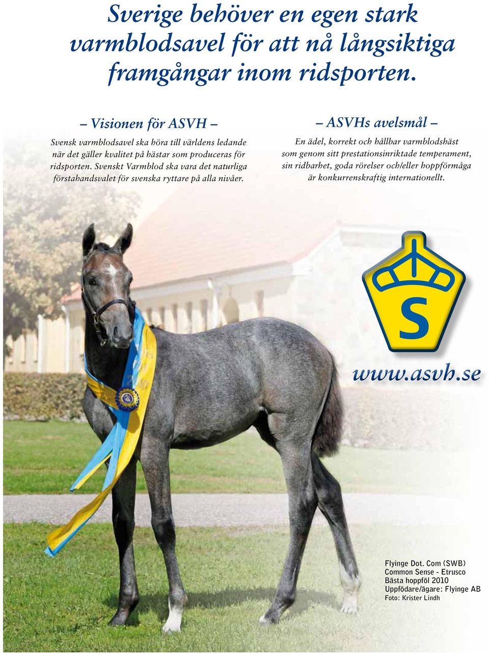 Svenskt Varmblod ska vara det naturliga förstahandsvalet för svenska ryttare på alla nivåer.