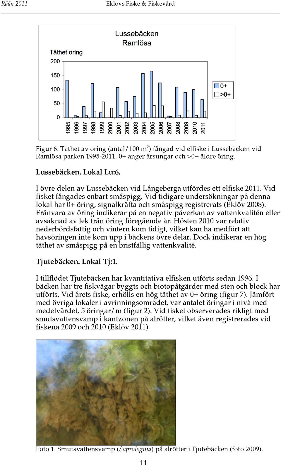 Vid tidigare undersökningar på denna lokal har 0+ öring, signalkräfta och småspigg registrerats (Eklöv 2008).