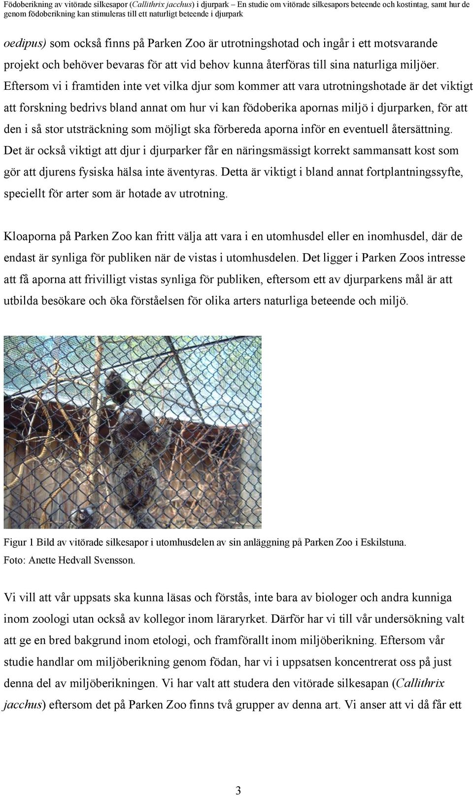 stor utsträckning som möjligt ska förbereda aporna inför en eventuell återsättning.
