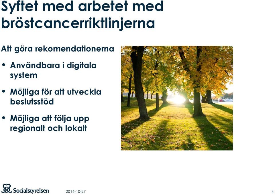 system Möjliga för att utveckla beslutsstöd