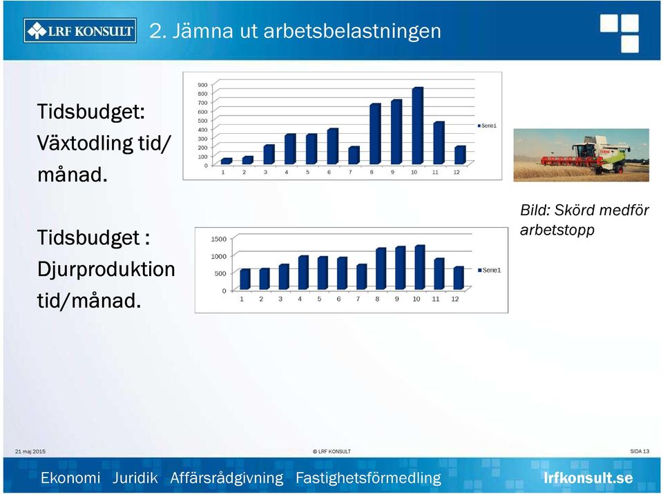 Tidsbudget : Djurproduktion