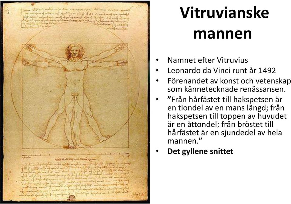 Från hårfästet till hakspetsen är en tiondel av en mans längd; från hakspetsen till