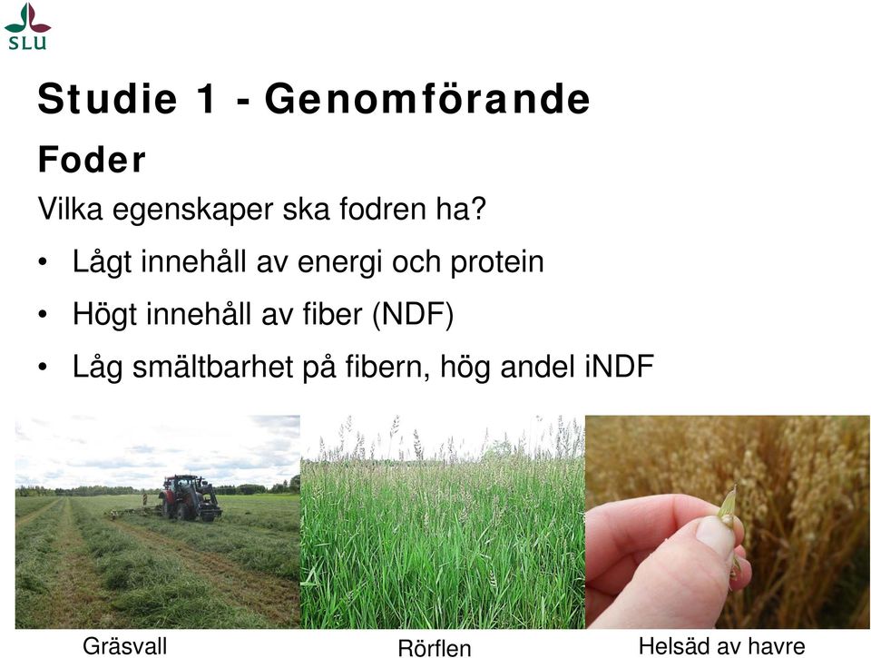 fiber (NDF) Låg smältbarhet på fibern, hög andel indf