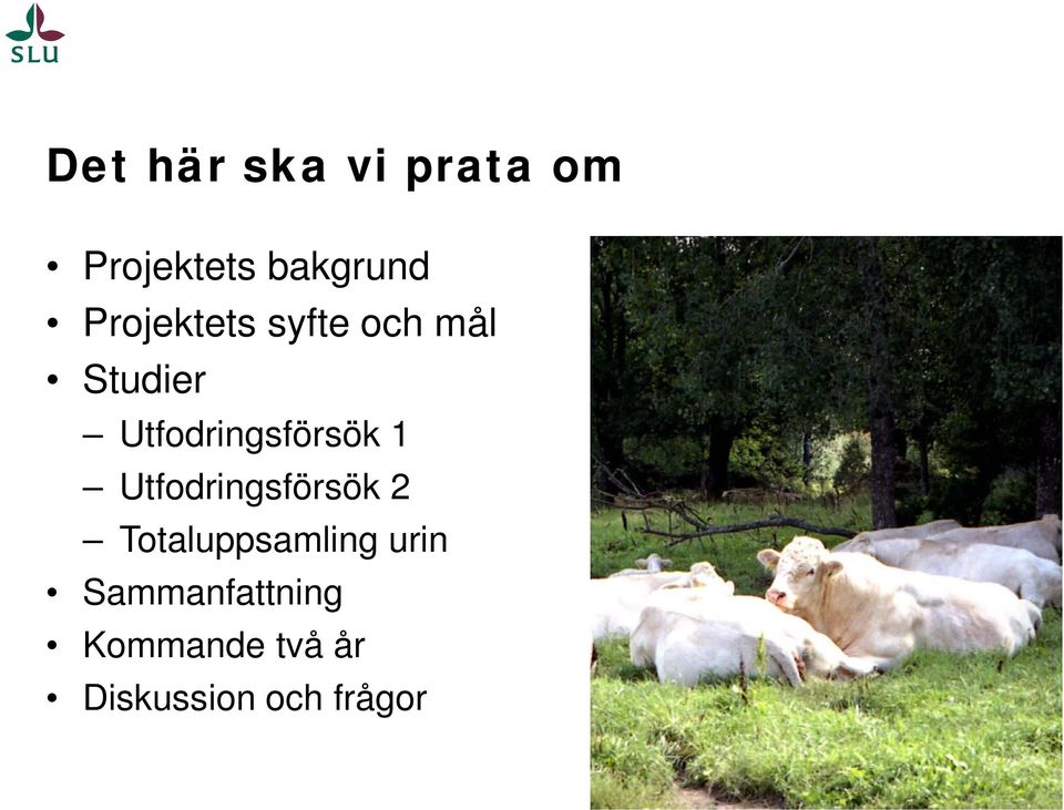 Utfodringsförsök 1 Utfodringsförsök 2