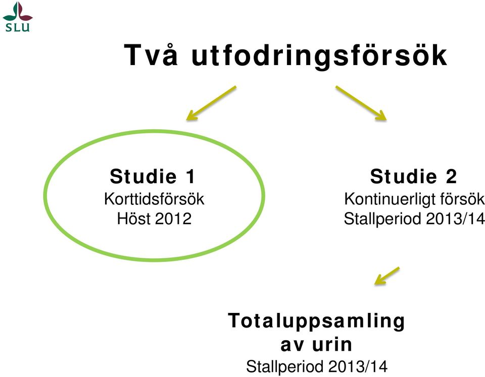 Kontinuerligt försök Stallperiod