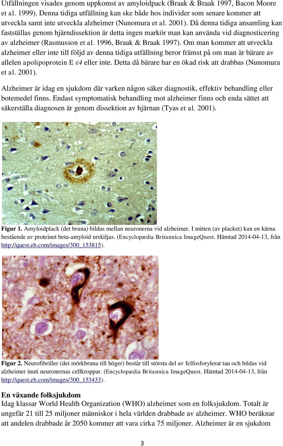 Då denna tidiga ansamling kan fastställas genom hjärndissektion är detta ingen markör man kan använda vid diagnosticering av alzheimer (Rasmusson et al. 1996, Braak & Braak 1997).