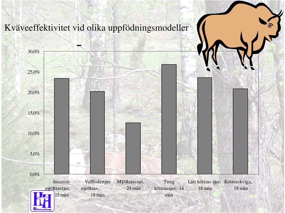 Vallfodertjur mjölkras, 18 mån Mjölkrasstut, 24 mån Tung