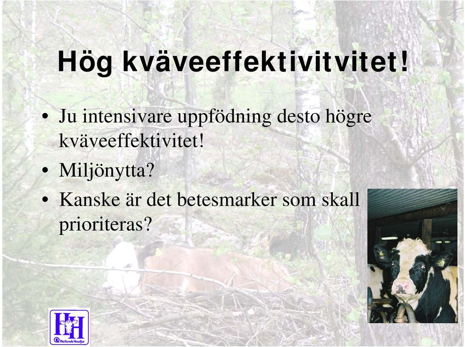 högre kväveeffektivitet! Miljönytta?