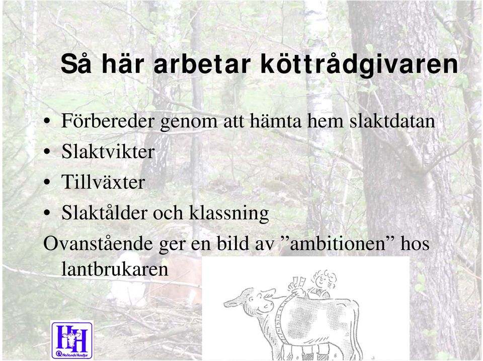 Tillväxter Slaktålder och klassning