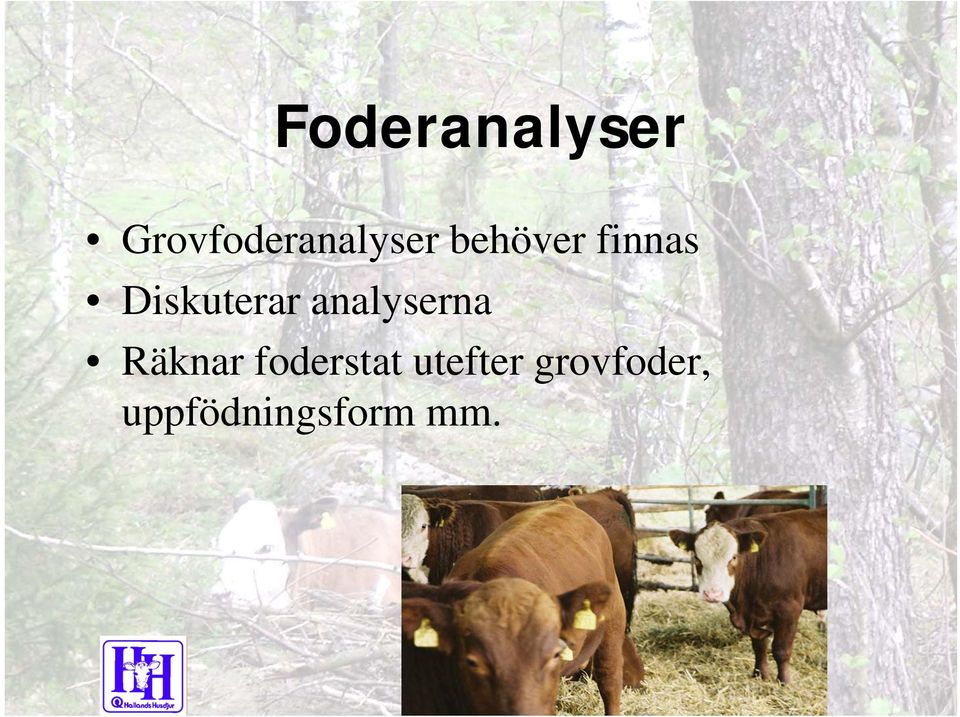 finnas Diskuterar analyserna