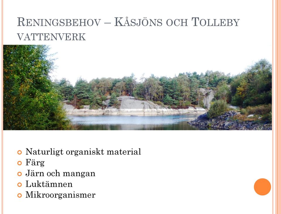 organiskt material Färg Järn