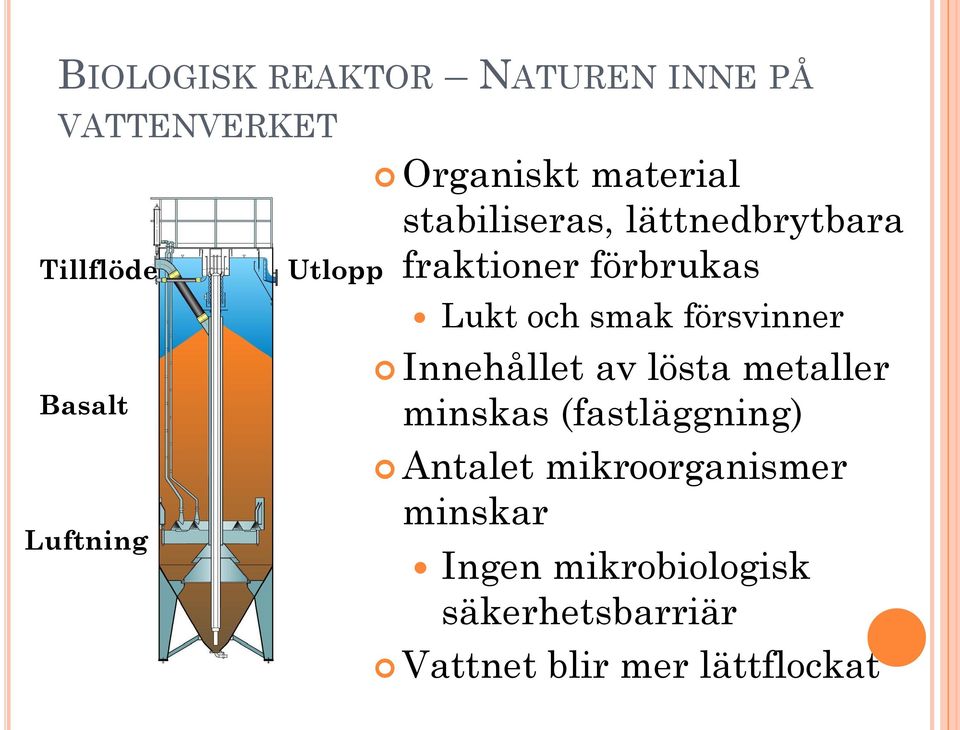 smak försvinner Innehållet av lösta metaller minskas (fastläggning) Antalet