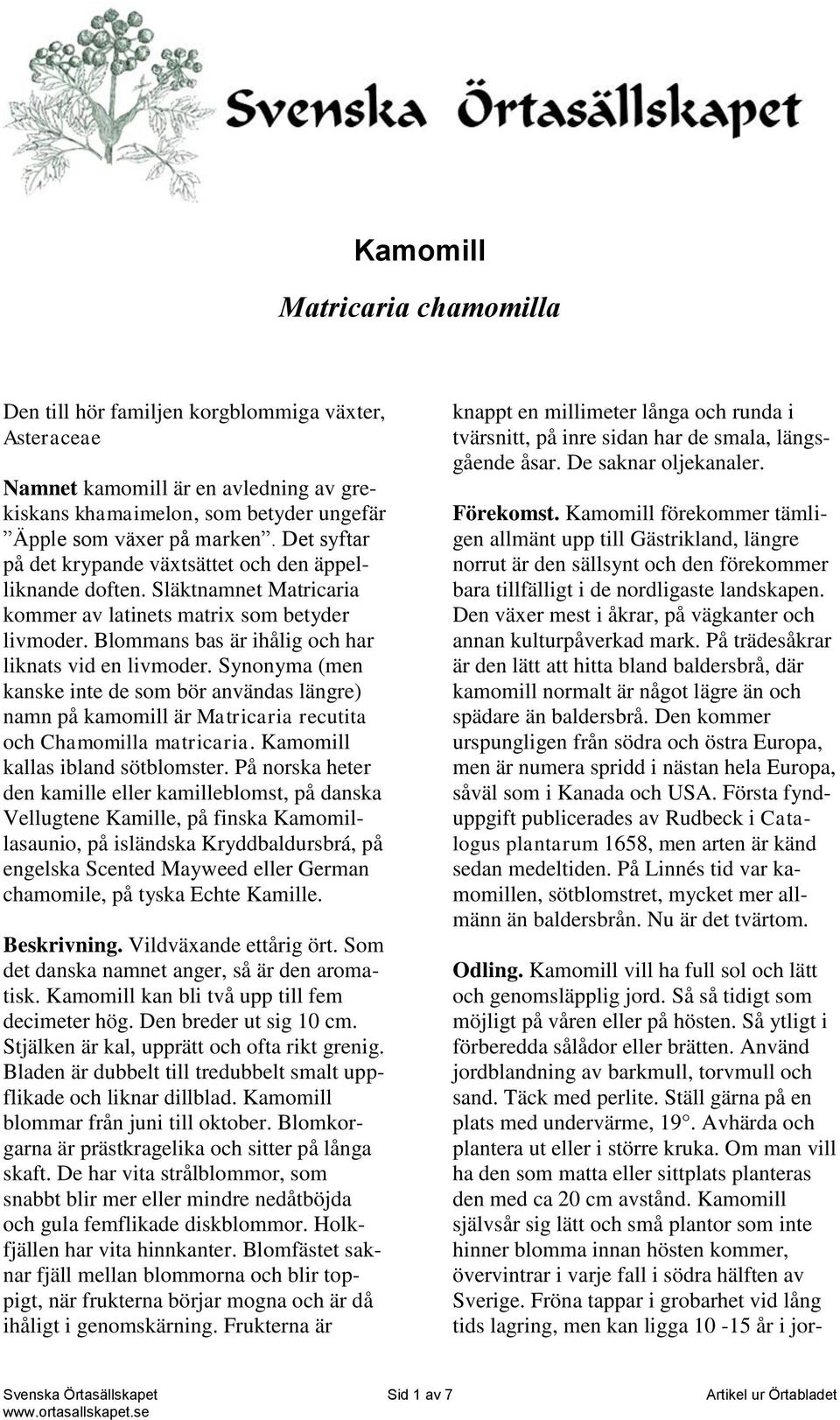 Synonyma (men kanske inte de som bör användas längre) namn på kamomill är Matricaria recutita och Chamomilla matricaria. Kamomill kallas ibland sötblomster.