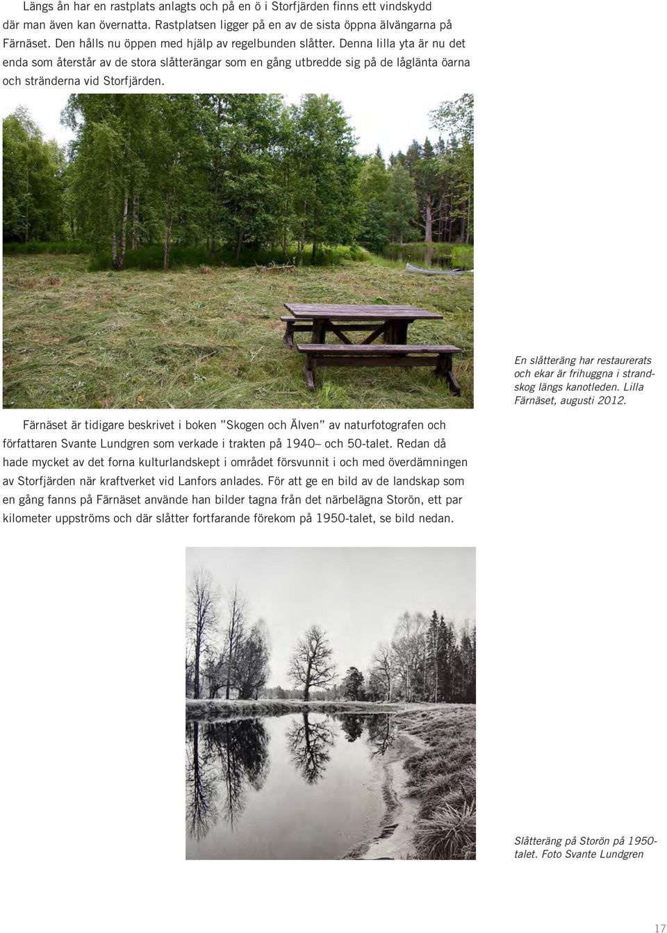 En slåtteräng har restaurerats och ekar är frihuggna i strandskog längs kanotleden. Lilla Färnäset, augusti 2012.
