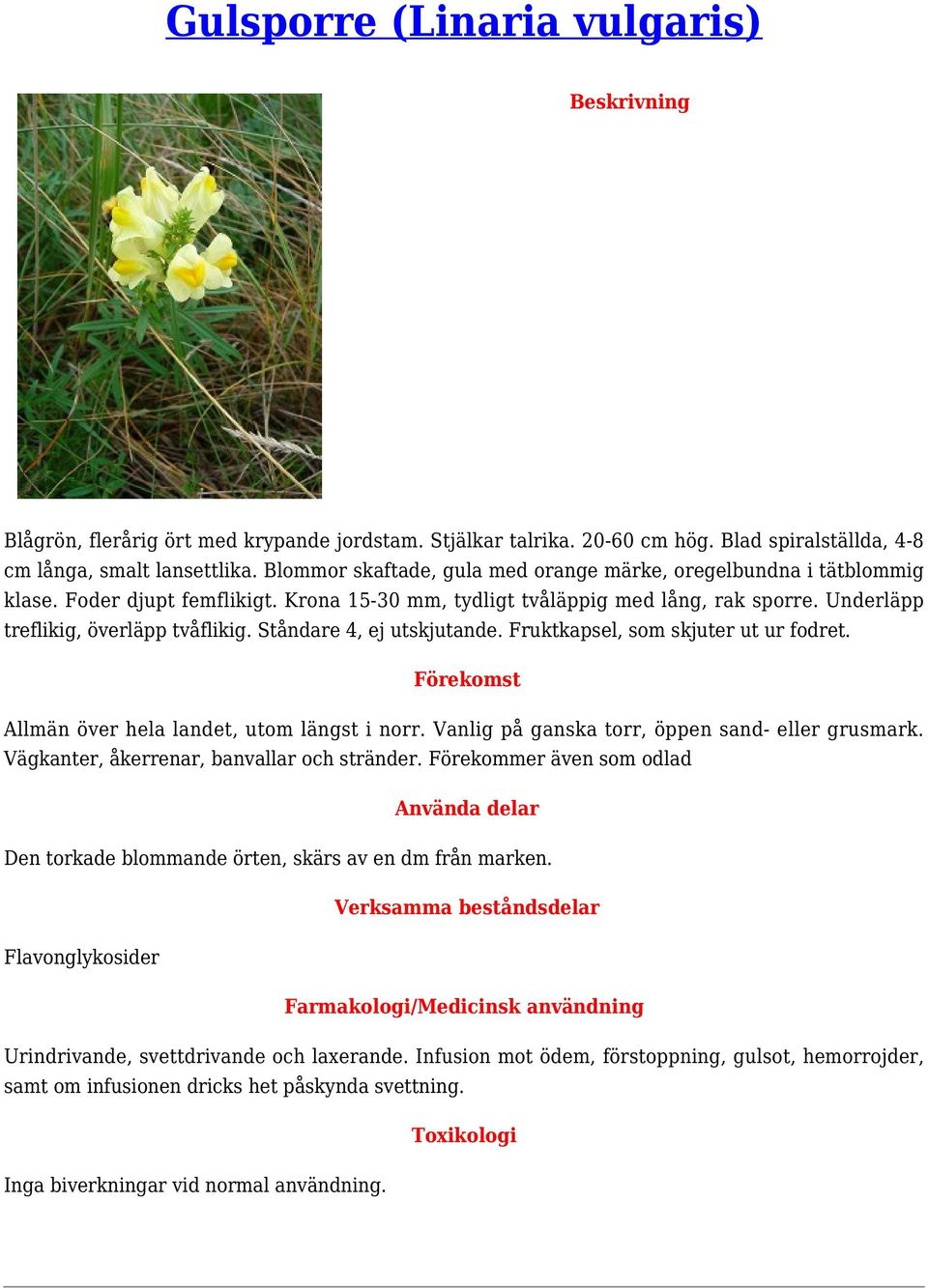 Ståndare 4, ej utskjutande. Fruktkapsel, som skjuter ut ur fodret. Allmän över hela landet, utom längst i norr. Vanlig på ganska torr, öppen sand- eller grusmark.