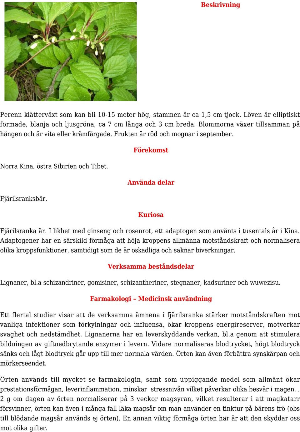 I likhet med ginseng och rosenrot, ett adaptogen som använts i tusentals år i Kina.