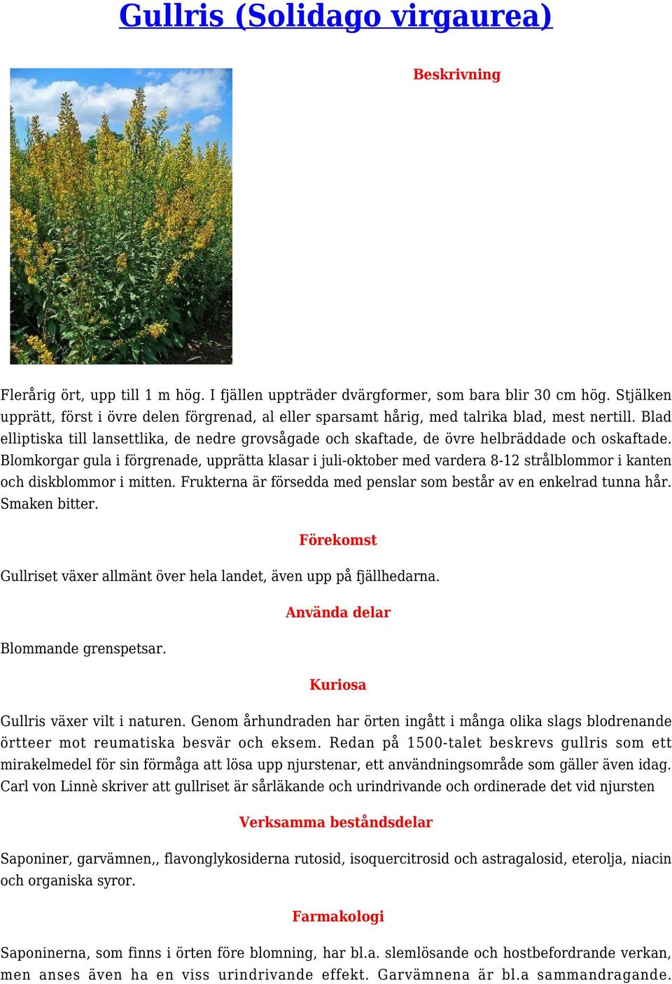 Blad elliptiska till lansettlika, de nedre grovsågade och skaftade, de övre helbräddade och oskaftade.
