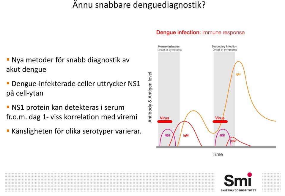 Dengue-infekterade celler uttrycker NS1 på cell-ytan NS1