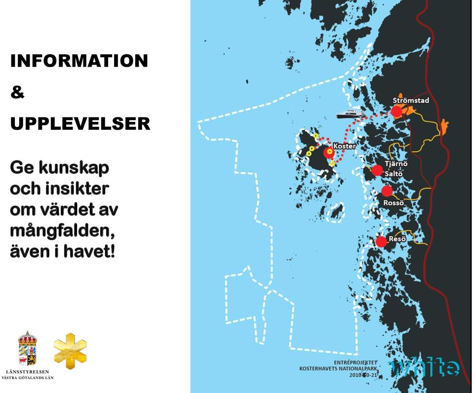 kunskap och insikter