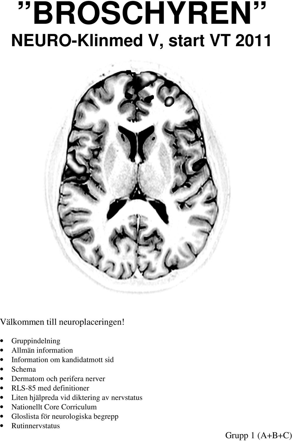 och perifera nerver RLS-85 med definitioner Liten hjälpreda vid diktering av