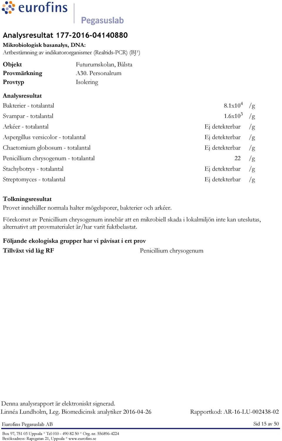 Förekomst av Penicillium chrysogenum innebär att en mikrobiell skada i lokalmiljön inte kan uteslutas,