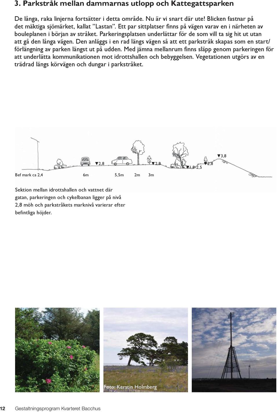 Den anläggs i en rad längs vägen så att ett parkstråk skapas som en start/ förlängning av parken längst ut på udden.