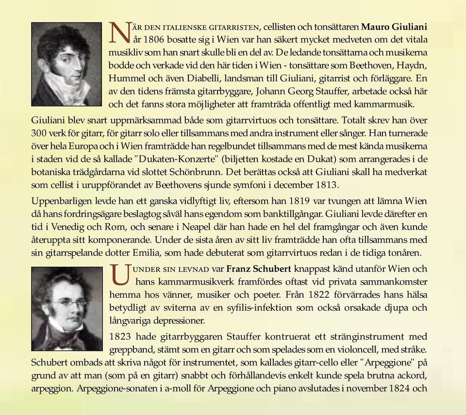 En av den tidens främsta gitarrbyggare, Johann Georg Stauffer, arbetade också här och det fanns stora möjligheter att framträda offentligt med kammarmusik.