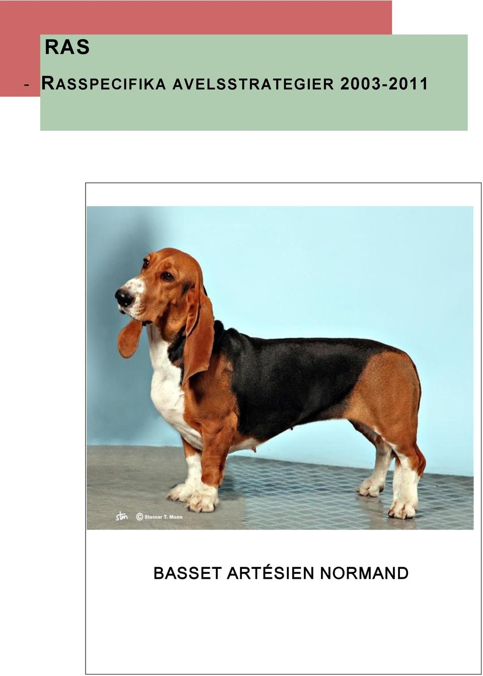 AVELSSTRATEGIER