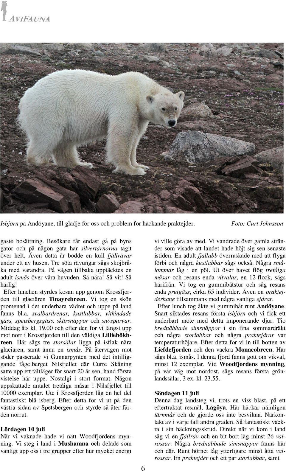 Efter lunchen styrdes kosan upp genom Krossfjorden till glaciären Tinayrebreen. Vi tog en skön promenad i det underbara vädret och uppe på land fanns bl.a. svalbardrenar, kustlabbar, vitkindade gäss, spetsbergsgäss, skärsnäppor och snösparvar.