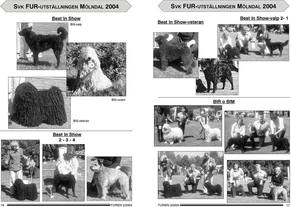 BIS-valp Best In Show-veteran Best In Show-valp