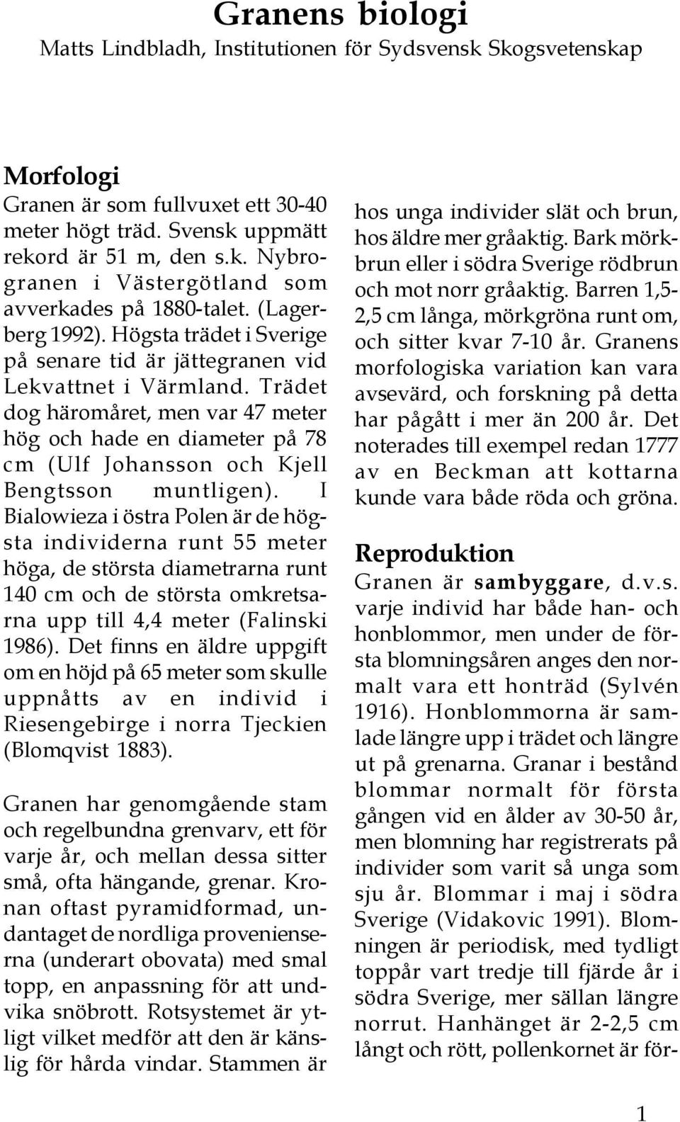 Trädet dog häromåret, men var 47 meter hög och hade en diameter på 78 cm (Ulf Johansson och Kjell Bengtsson muntligen).
