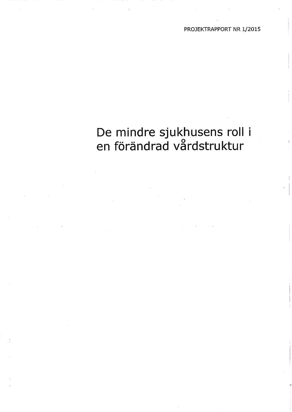 sjukhusens roll i