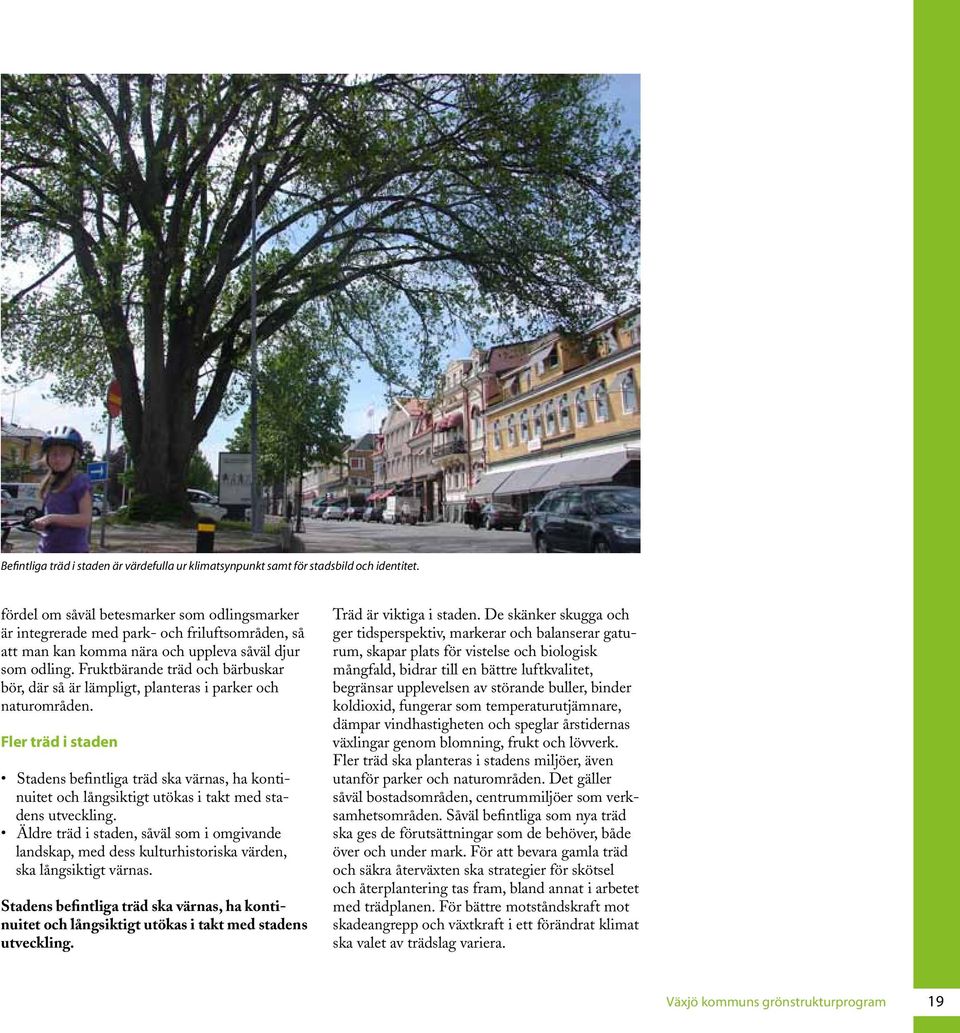 Fruktbärande träd och bärbuskar bör, där så är lämpligt, planteras i parker och naturområden.