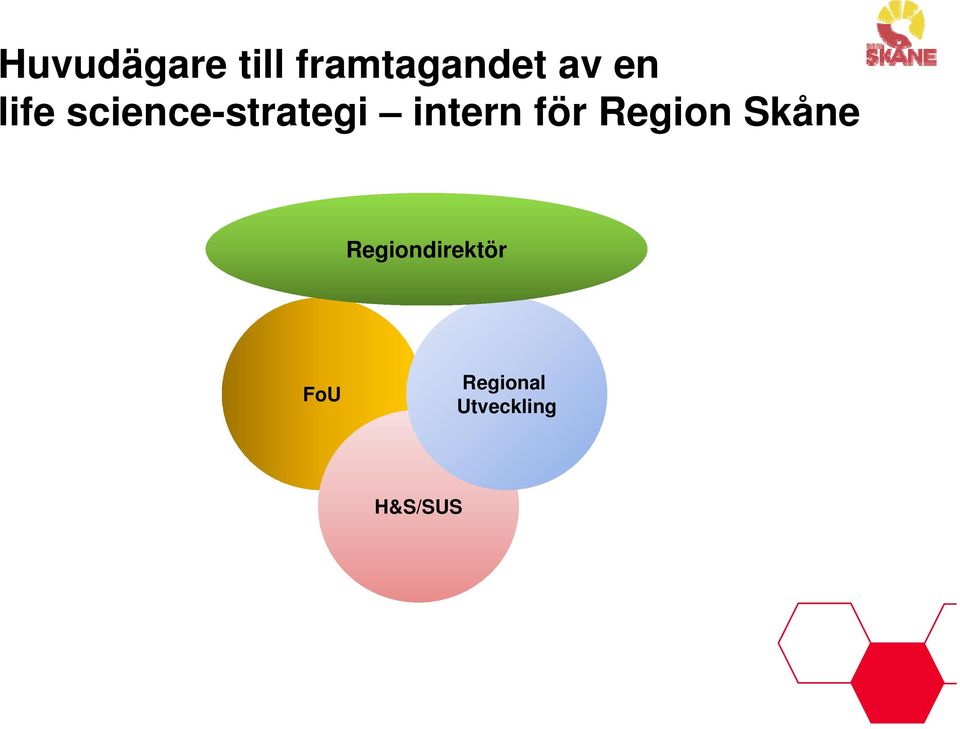 för Region Skåne Regiondirektör