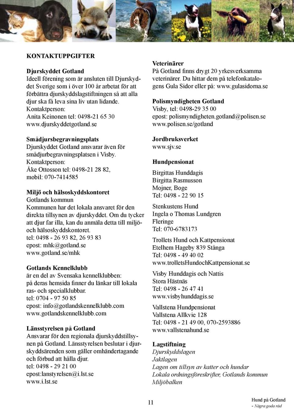 Kontaktperson: Åke Ottosson tel: 0498-21 28 82, mobil: 070-7414585 Miljö och hälsoskyddskontoret Gotlands kommun Kommunen har det lokala ansvaret för den direkta tillsynen av djurskyddet.