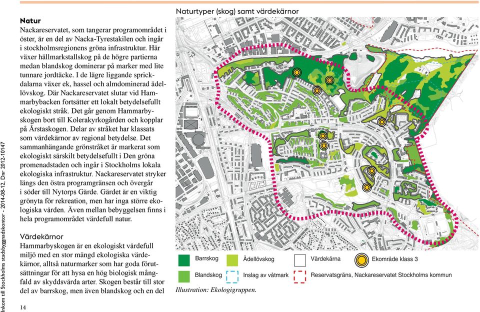 I de lägre liggande sprickdalarna växer ek, hassel och almdominerad ädellövskog. Där Nackareservatet slutar vid Hammarbybacken fortsätter ett lokalt betydelsefullt ekologiskt stråk.