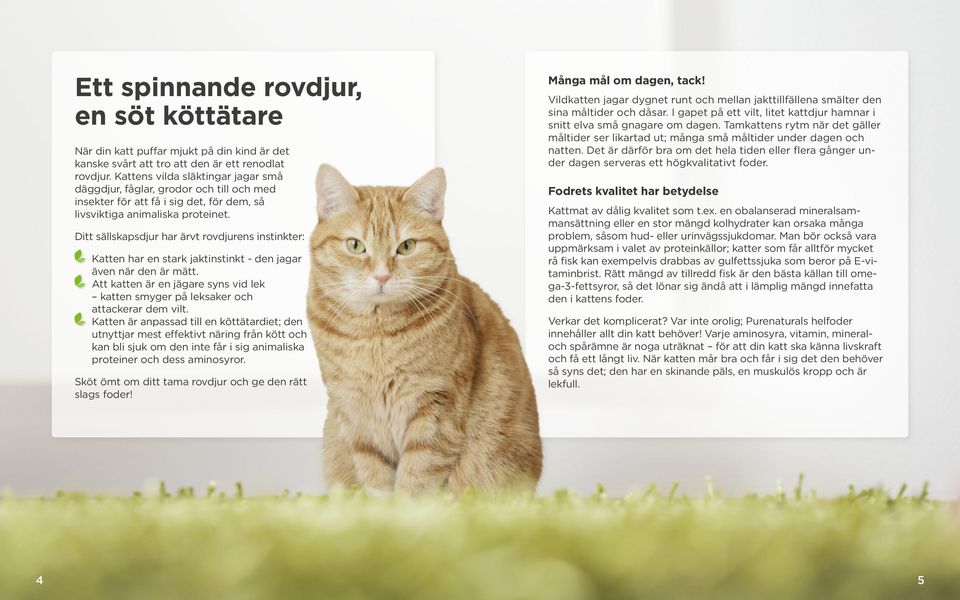 Ditt sällskapsdjur har ärvt rovdjurens instinkter: Katten har en stark jaktinstinkt - den jagar även när den är mätt.