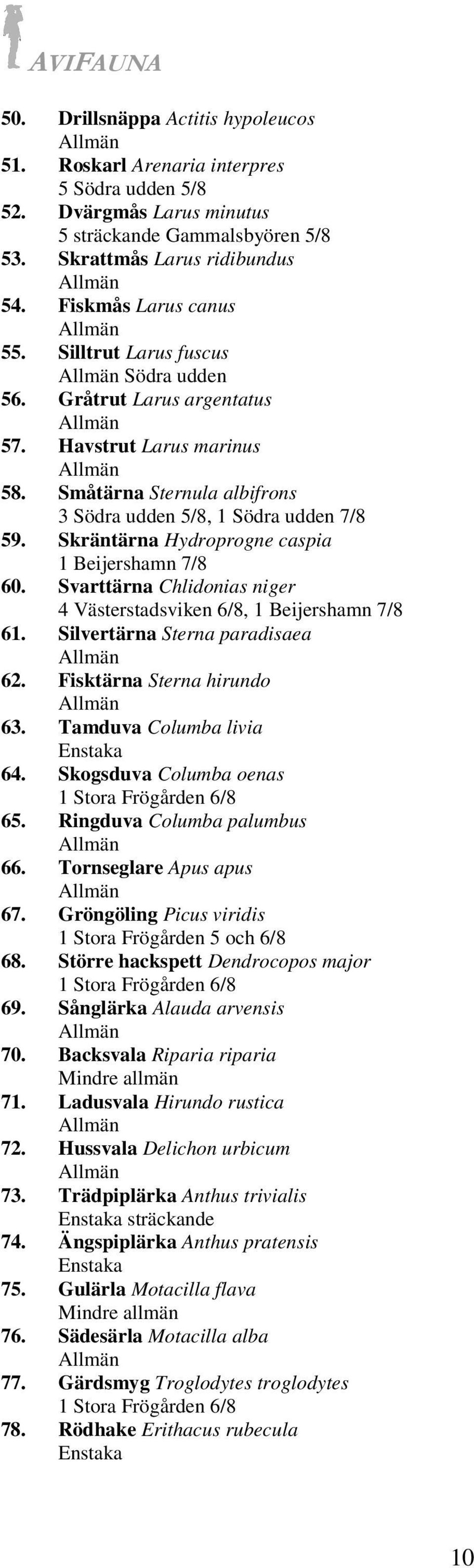 Skräntärna Hydroprogne caspia 1 Beijershamn 7/8 60. Svarttärna Chlidonias niger 4 Västerstadsviken 6/8, 1 Beijershamn 7/8 61. Silvertärna Sterna paradisaea 62. Fisktärna Sterna hirundo 63.