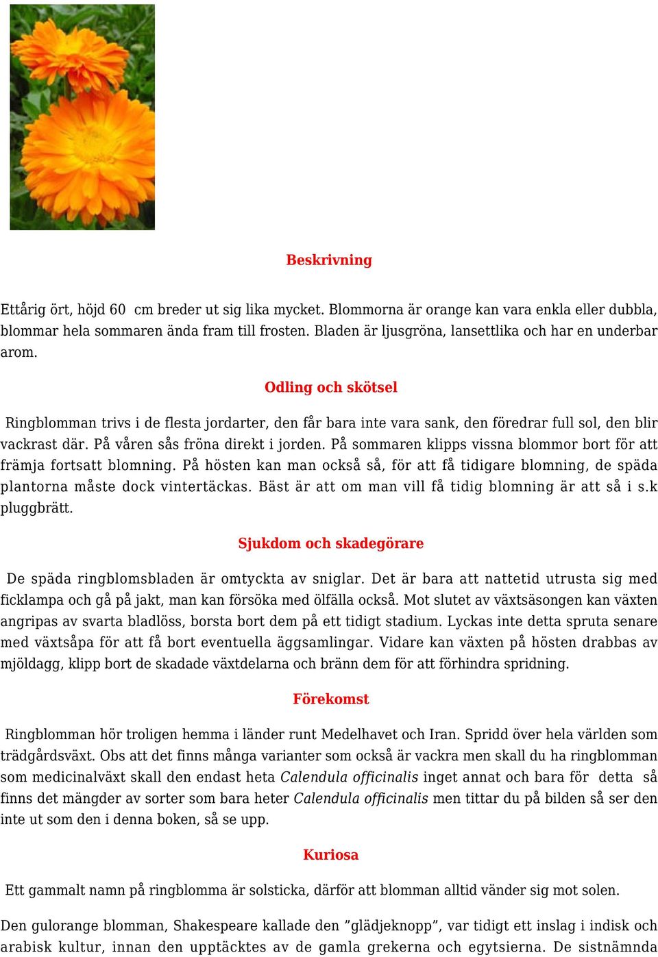 På våren sås fröna direkt i jorden. På sommaren klipps vissna blommor bort för att främja fortsatt blomning.