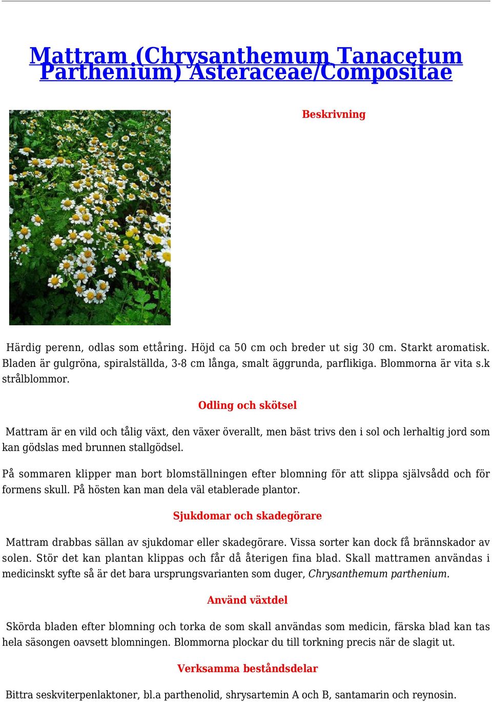 Odling och skötsel Mattram är en vild och tålig växt, den växer överallt, men bäst trivs den i sol och lerhaltig jord som kan gödslas med brunnen stallgödsel.