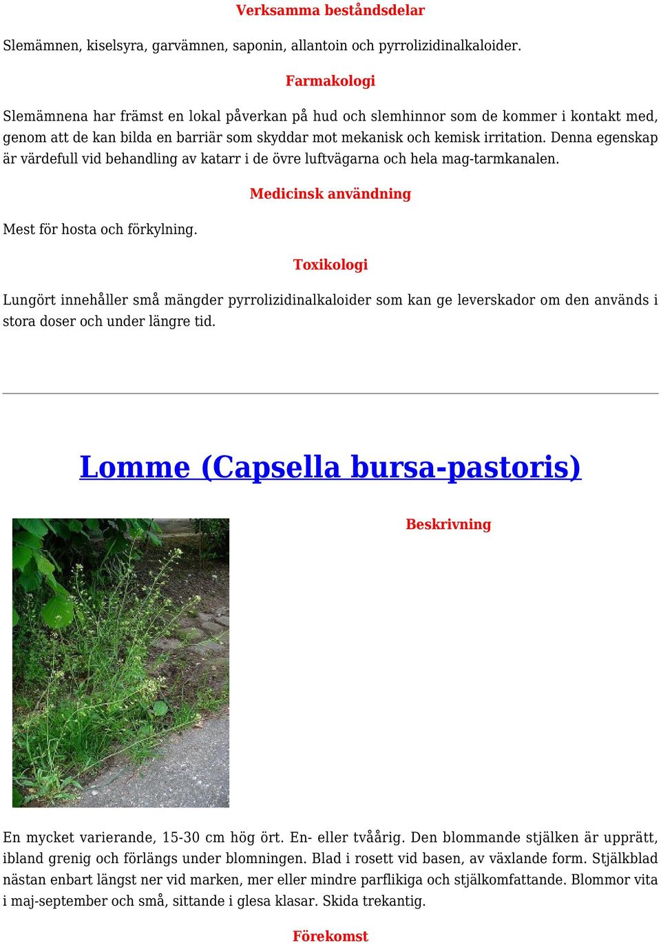 Denna egenskap är värdefull vid behandling av katarr i de övre luftvägarna och hela mag-tarmkanalen. Medicinsk användning Mest för hosta och förkylning.